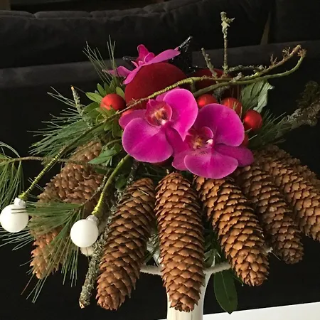 Serenite Au Centre N 5 アパート