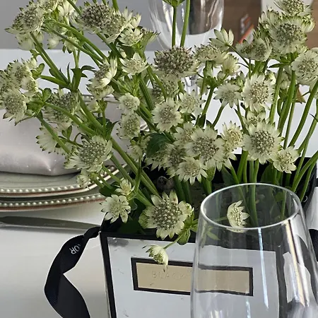 Serenite Au Centre N 5 Apartament