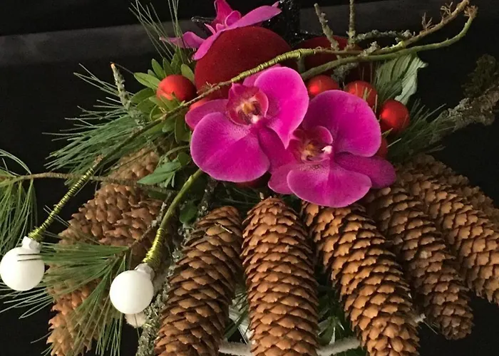 Serenite Au Centre N 5 Апартаменты