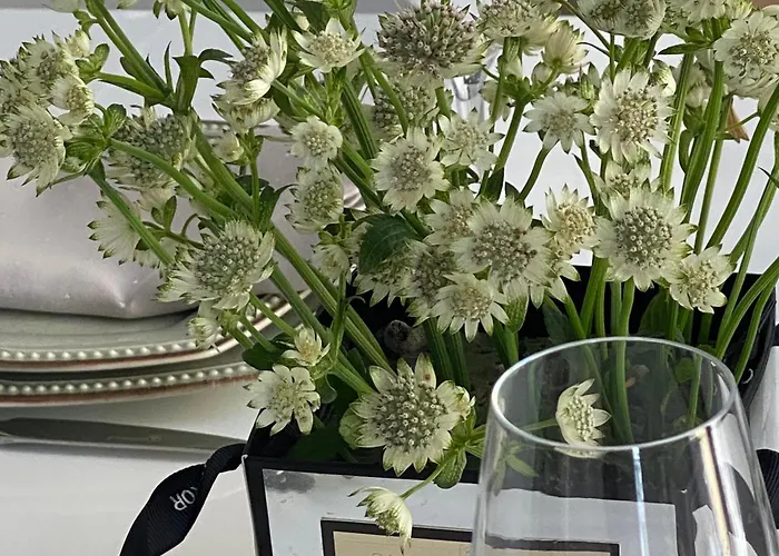 Serenite Au Centre N 5 Апартаменты